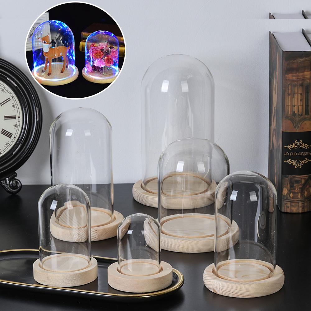 Fairy Lights Home Decor Terrar - đánh giá và giá Vase Decor